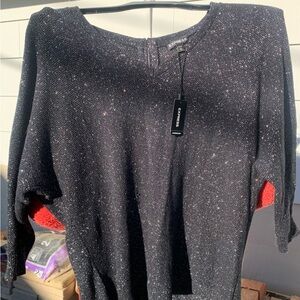 NEW Express Shimmering Black V-Neck Top